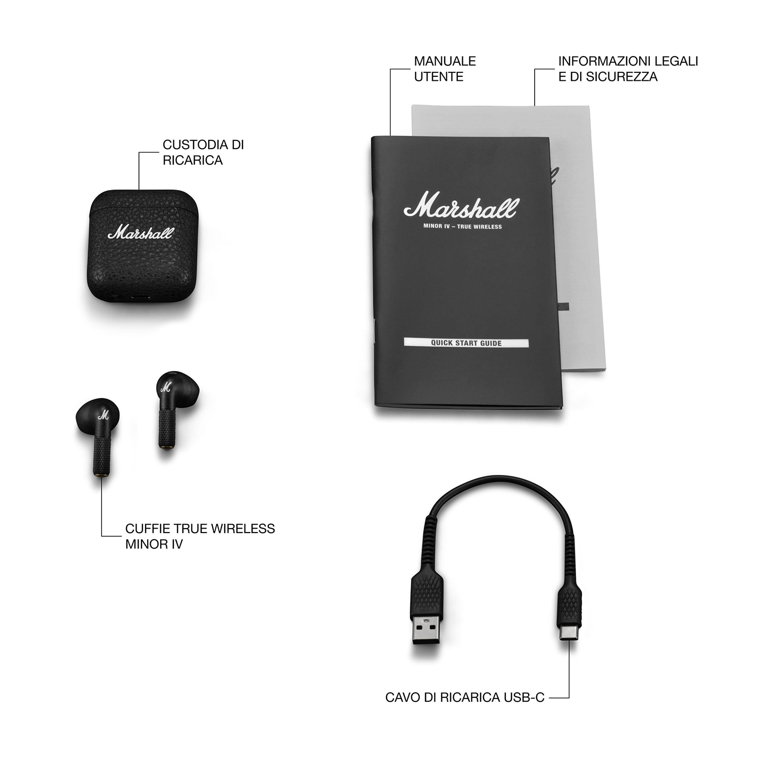 Auricolari, custodia di ricarica, cavo di ricarica e manuali. Tutti gli elementi sono in bianco e nero.