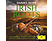 Daniel Hope - Irish Roots (Vinyl LP (nagylemez))