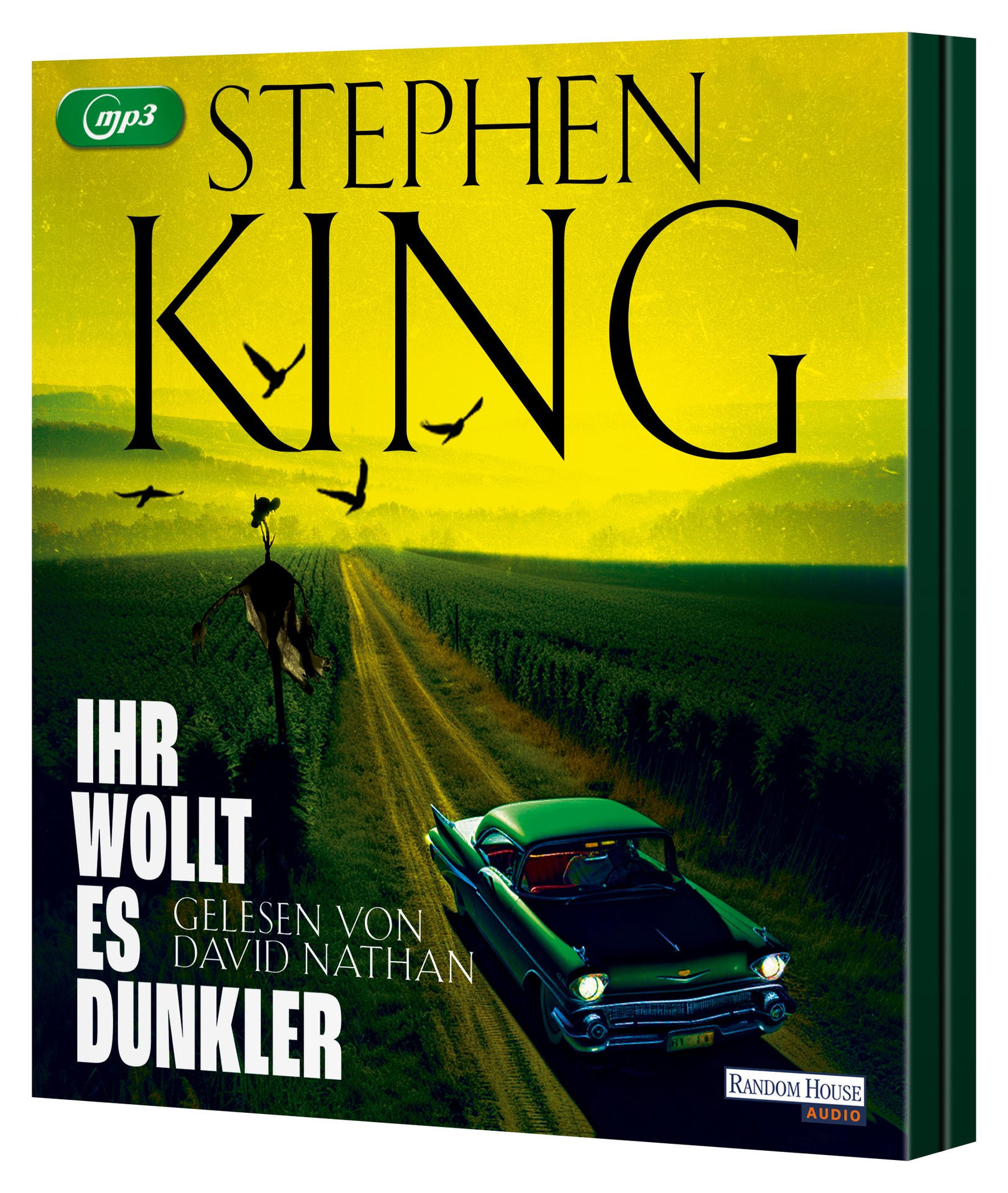 Buchcover mit grünem Auto auf einer Straße. Vögel und eine Vogelscheuche sind auf einem Feld.
