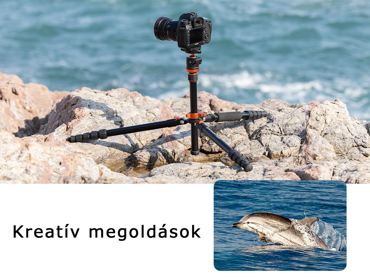 Kamera állványon sziklákon, óceán háttérrel. Delfin kiugrik a vízből egy betétben.