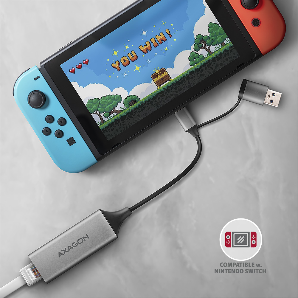 Nintendo Switch játékképernyővel, amin a 'You Win!' felirat látható, szürke adapterrel.