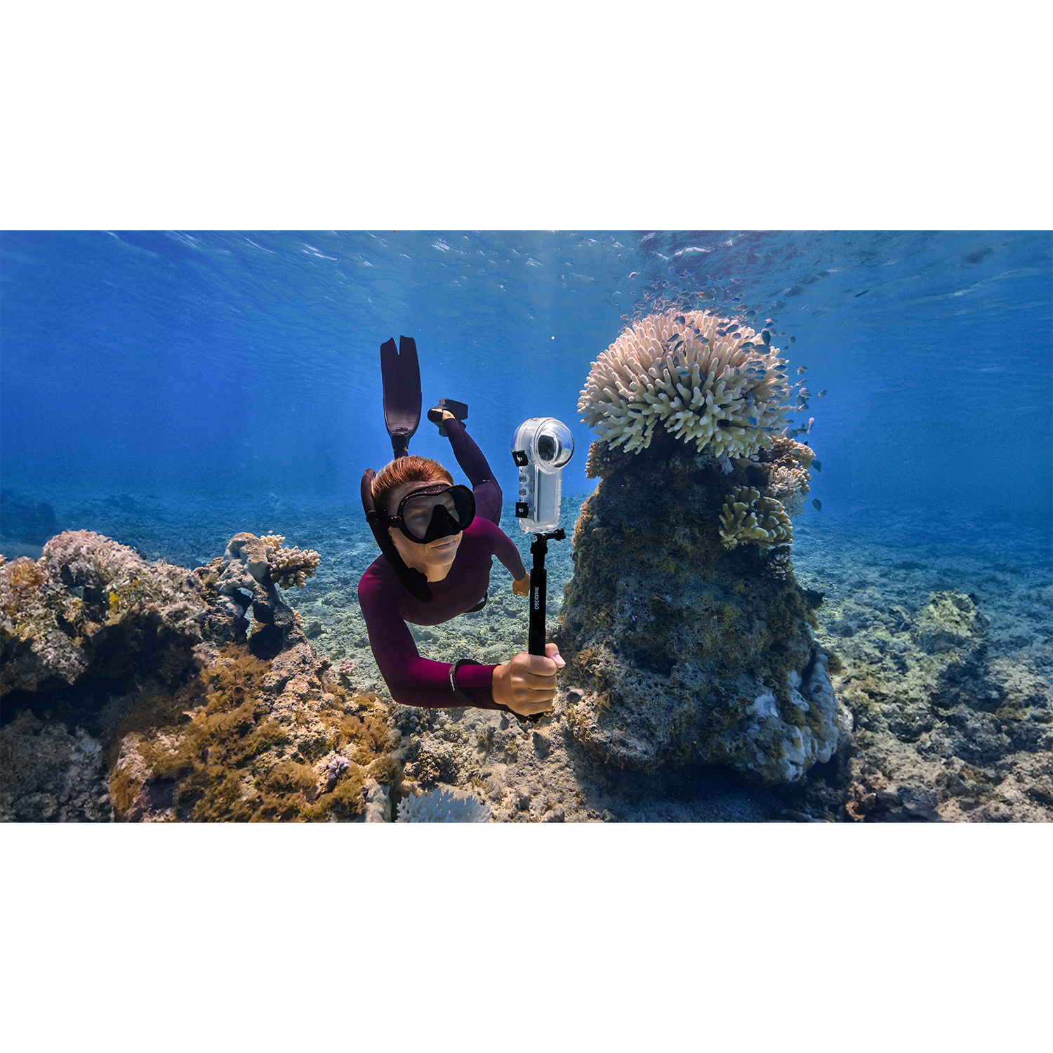 Subacqueo sott'acqua, con maschera e pinne, tiene una fotocamera su un bastone vicino al corallo.