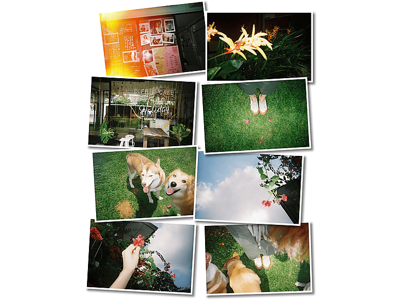 Thumbnail - YASHICA MF1Y Analog inkl. Film Kamera