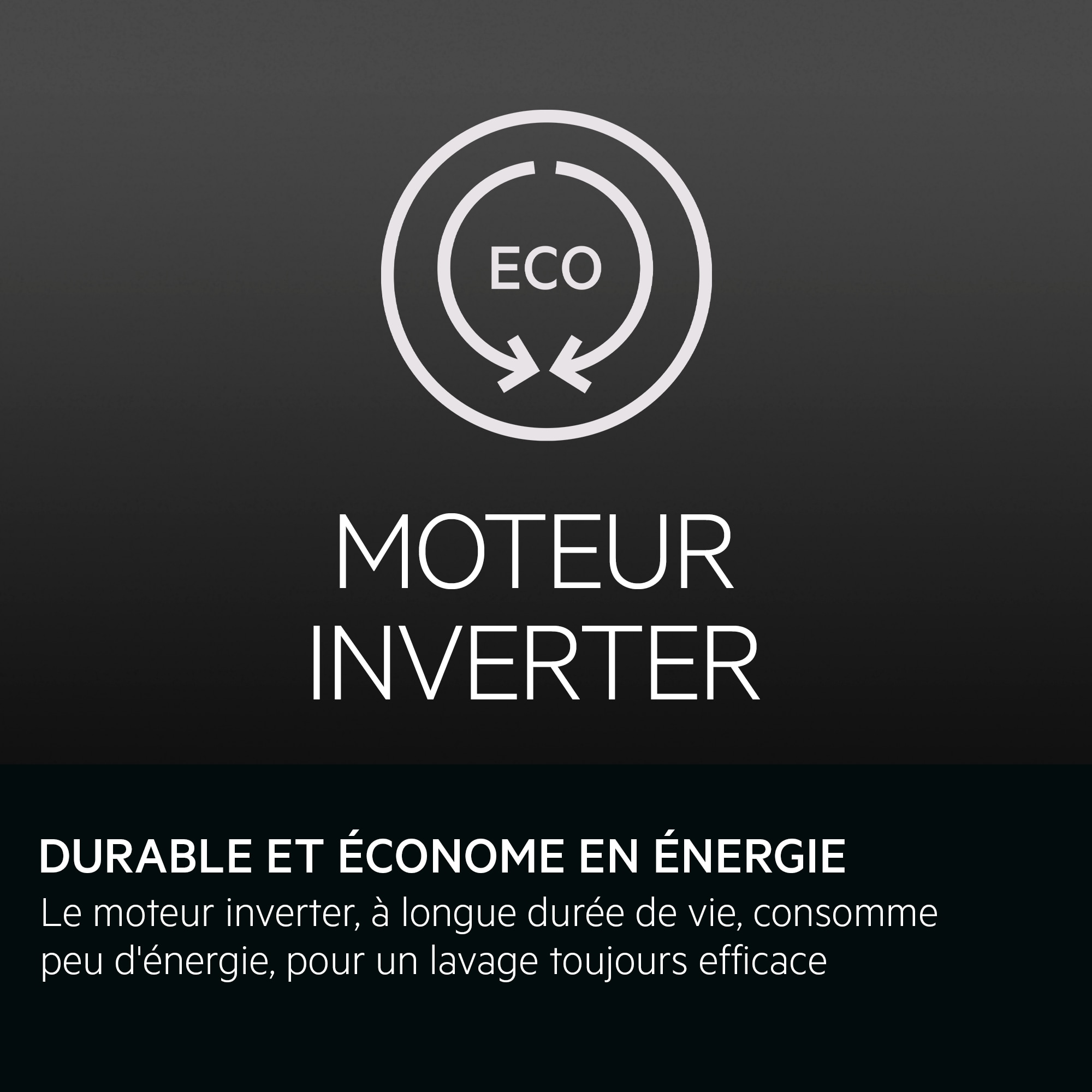 Witte tekst op een zwarte achtergrond: ECO-symbool, dan MOTOR INVERTER.