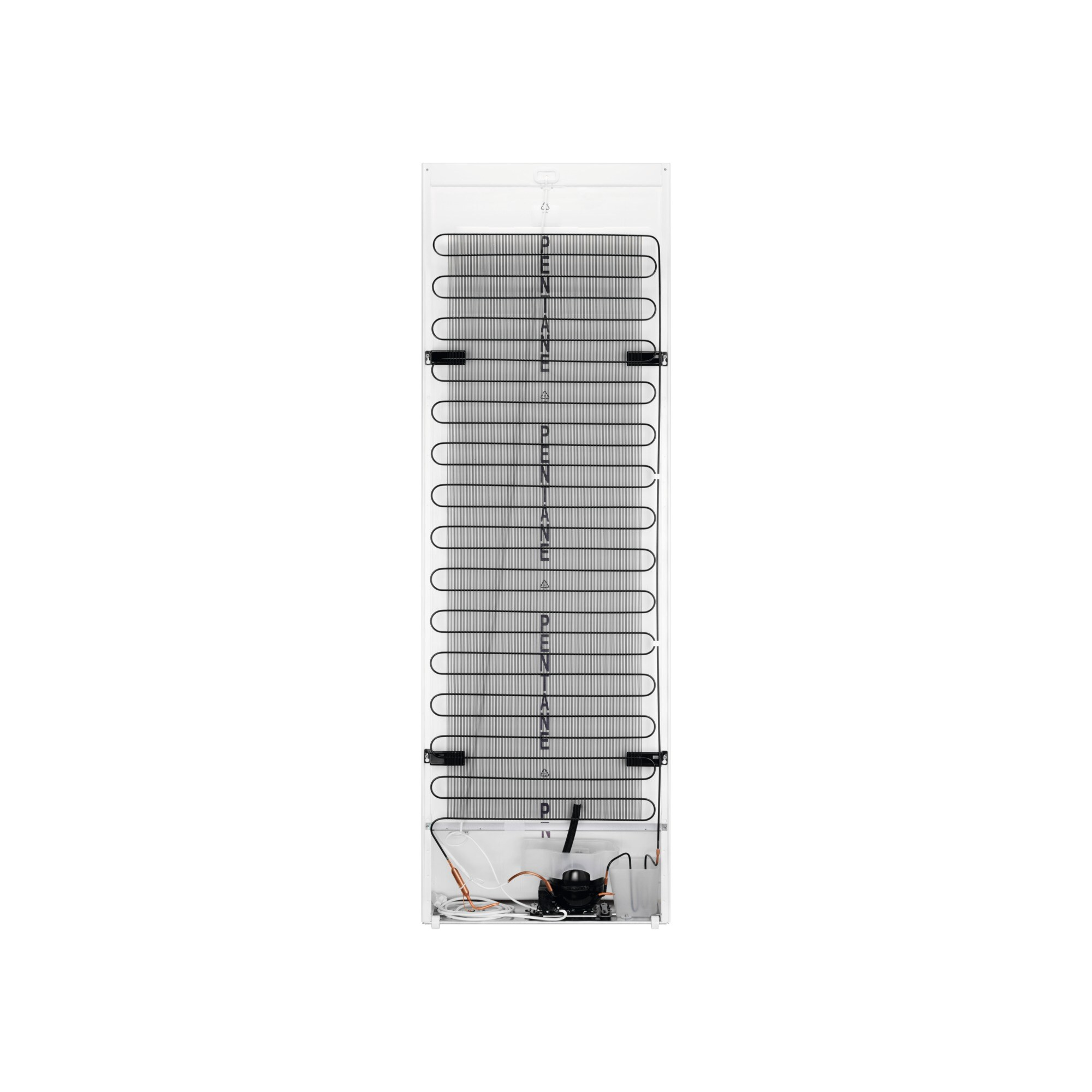 AEG Frigo armoire E (RKB539E1DX)