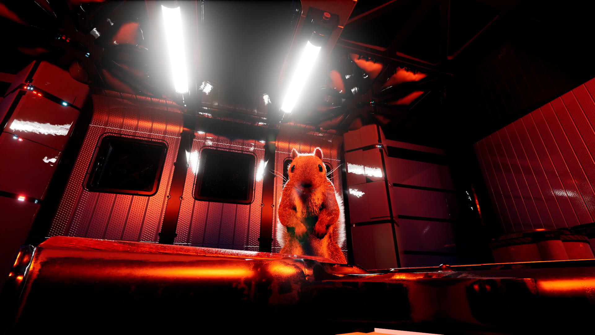 Eichhörnchen in einem rot beleuchteten, metallisch aussehenden Raum.