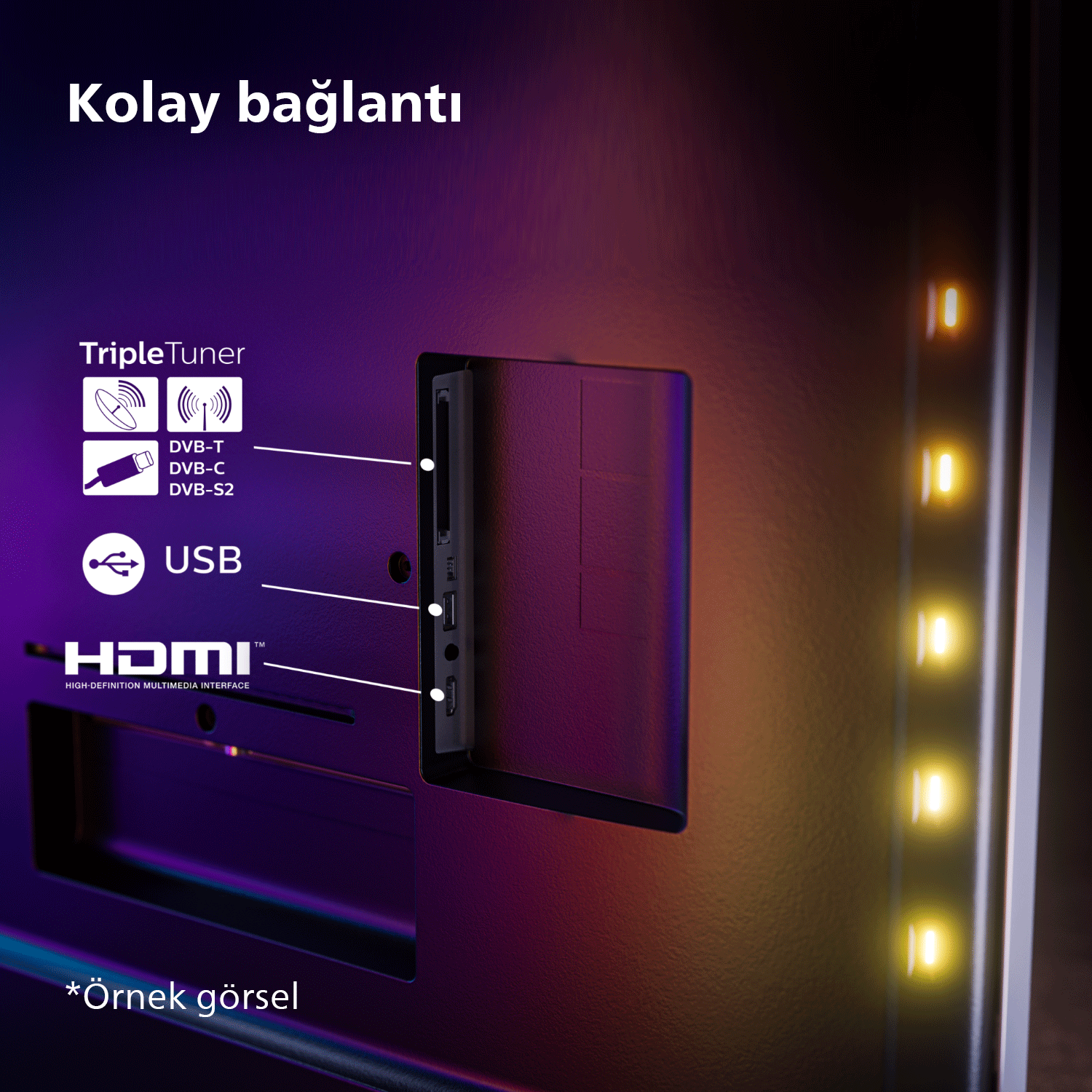 Portlu TV arka paneli. Üçlü tuner, USB ve HDMI içerir.