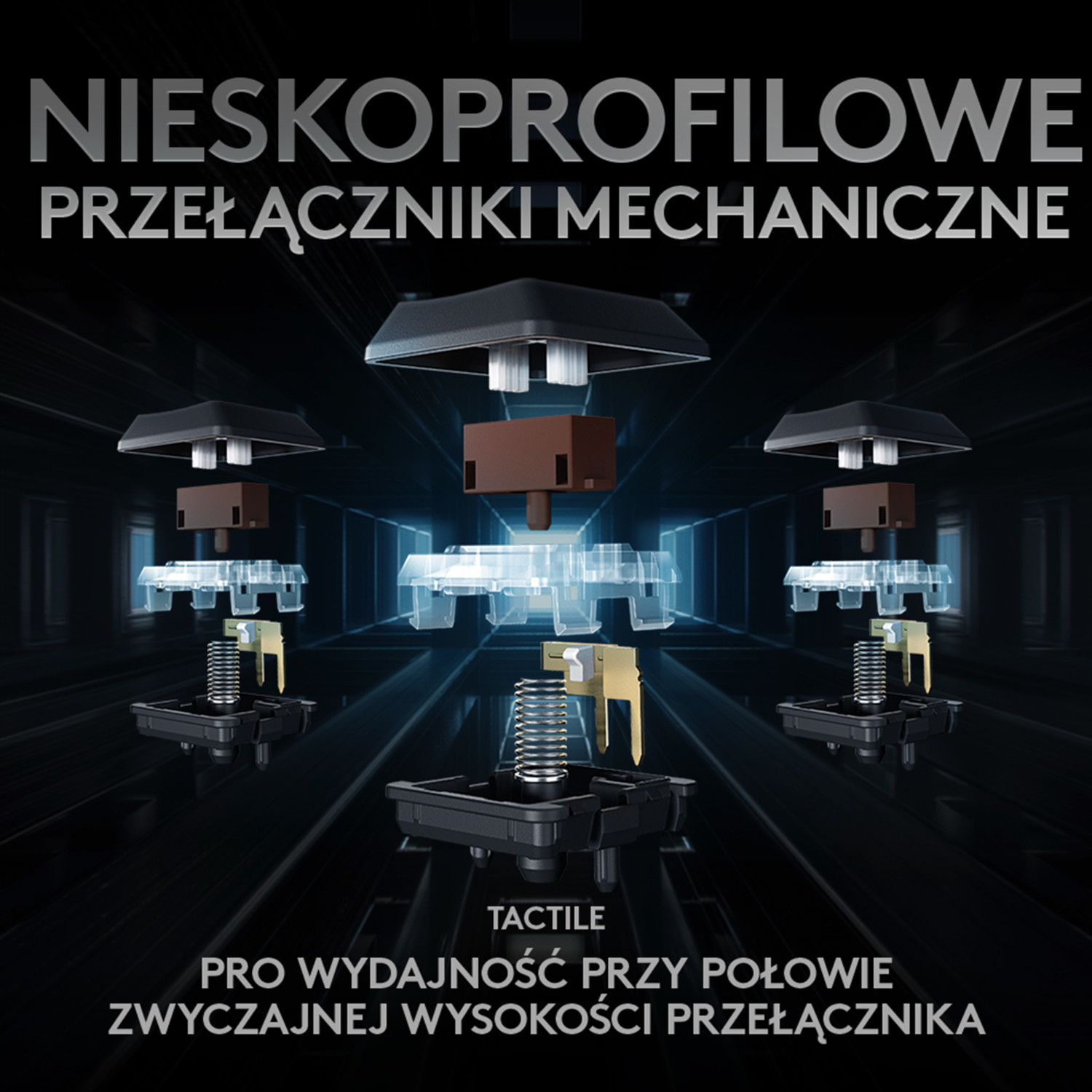 Schemat przełączników klawiatury mechanicznej. Przełączniki są pokazane w stanie rozłożonym, widoczne sprężyny.