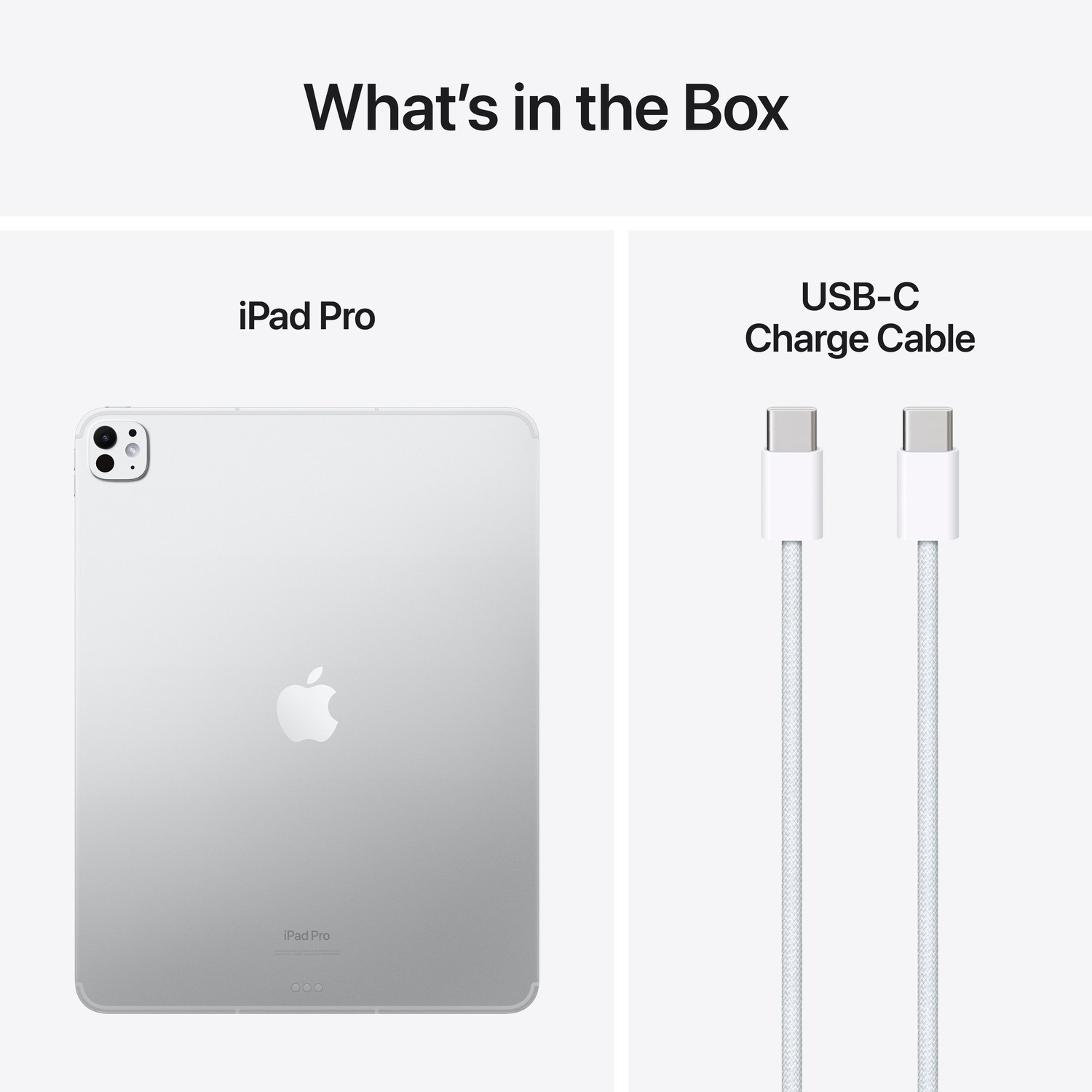 APPLE iPad Pro 13" 1 TB Wi-Fi + Cellular Silver Edition 2024