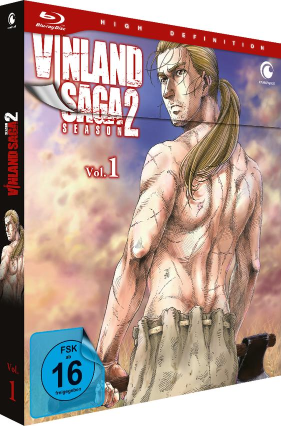 Blu-ray-Disc-Cover für Vinland Saga Staffel 2 Vol. 1. Ein Mann steht, Rücken zum Betrachter, mit Waffe.