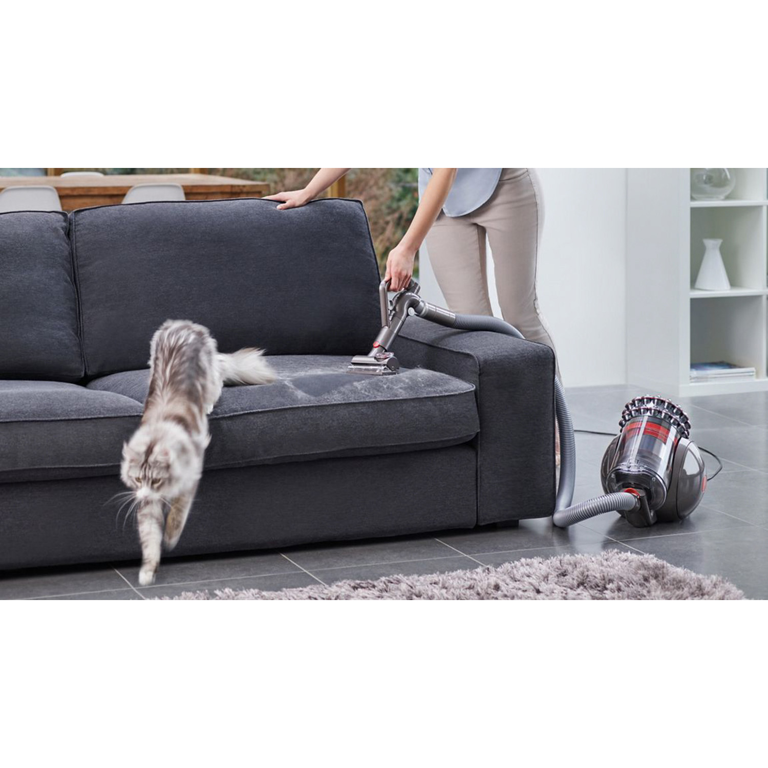 Una donna che aspira un divano grigio, un gatto scappa. Un aspirapolvere e un tappeto sono nello scatto.