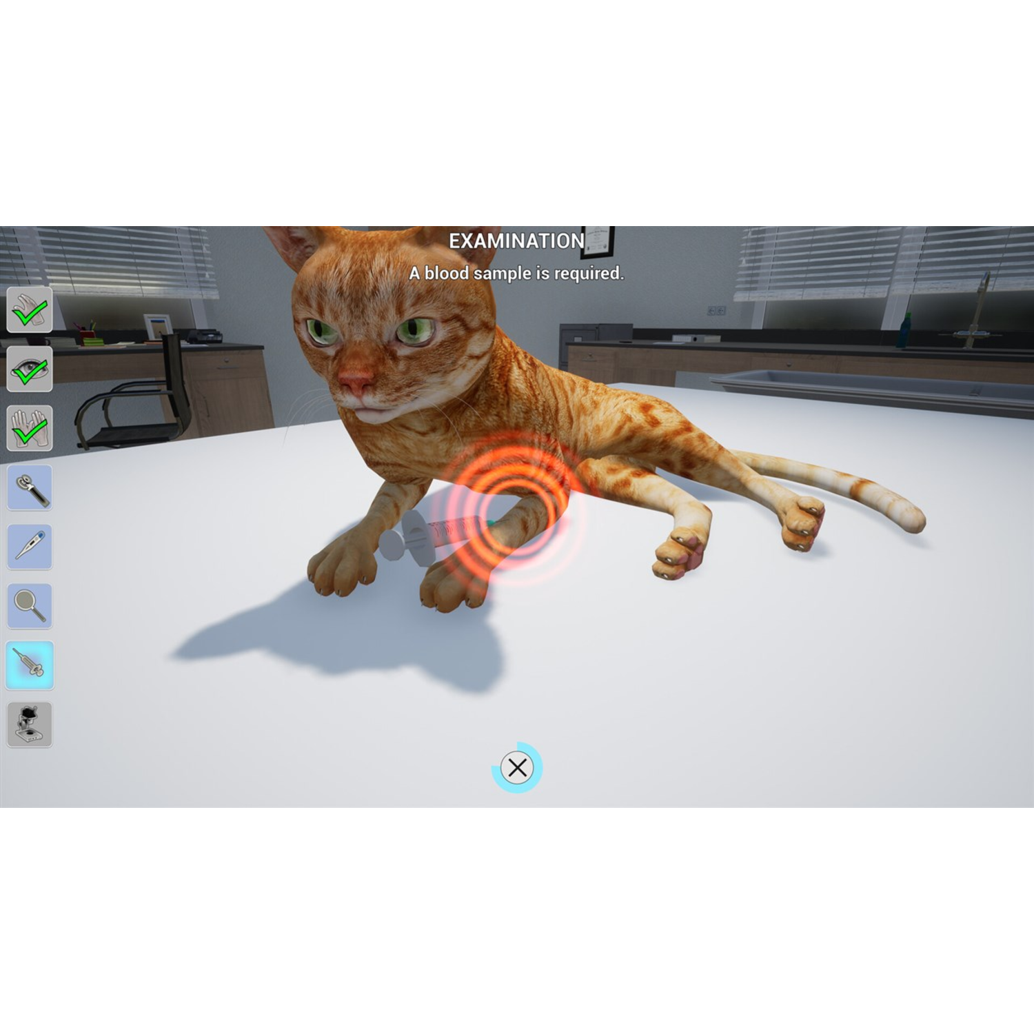 Een oranje kat op een witte tafel, met een cirkelvormige rode overlay.