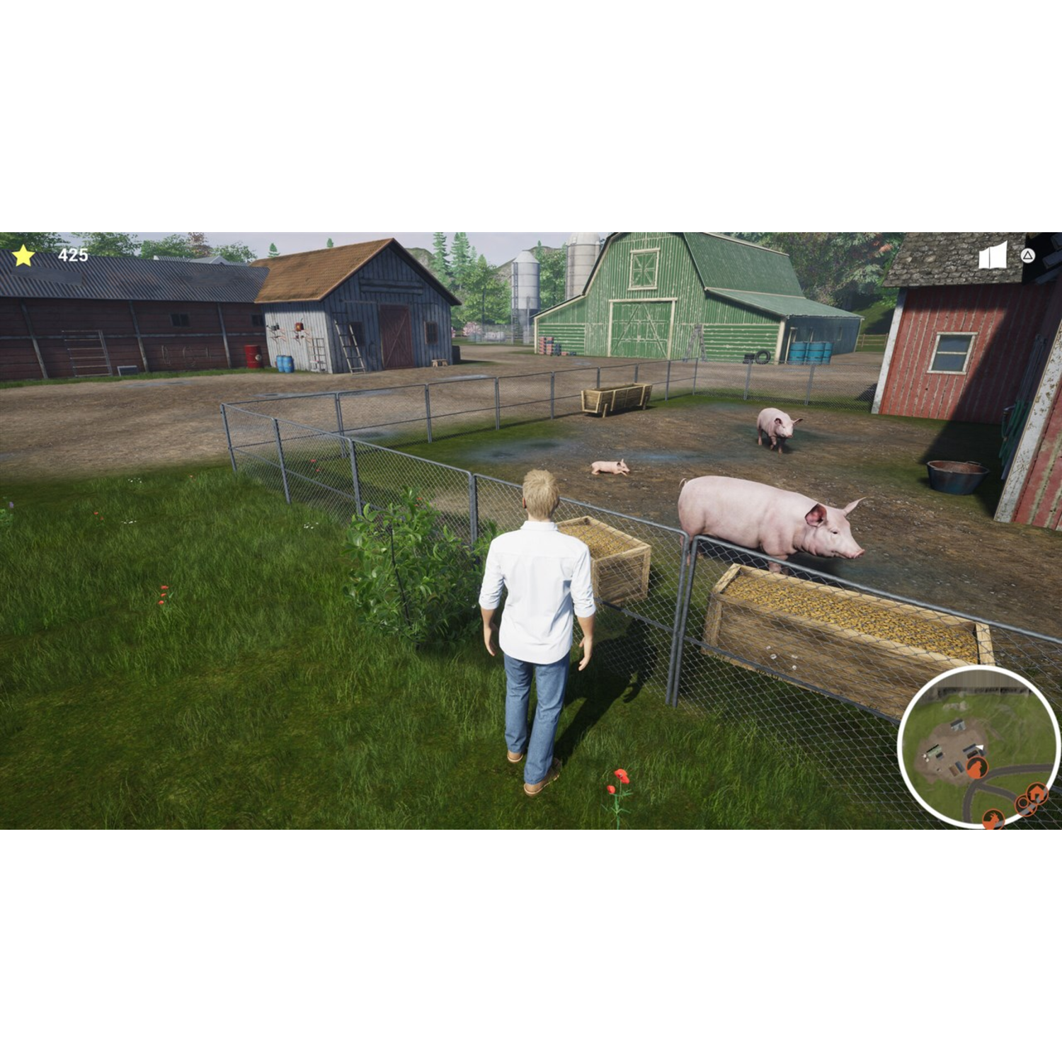 Een man in een boerderij met varkens en schuren op de achtergrond.