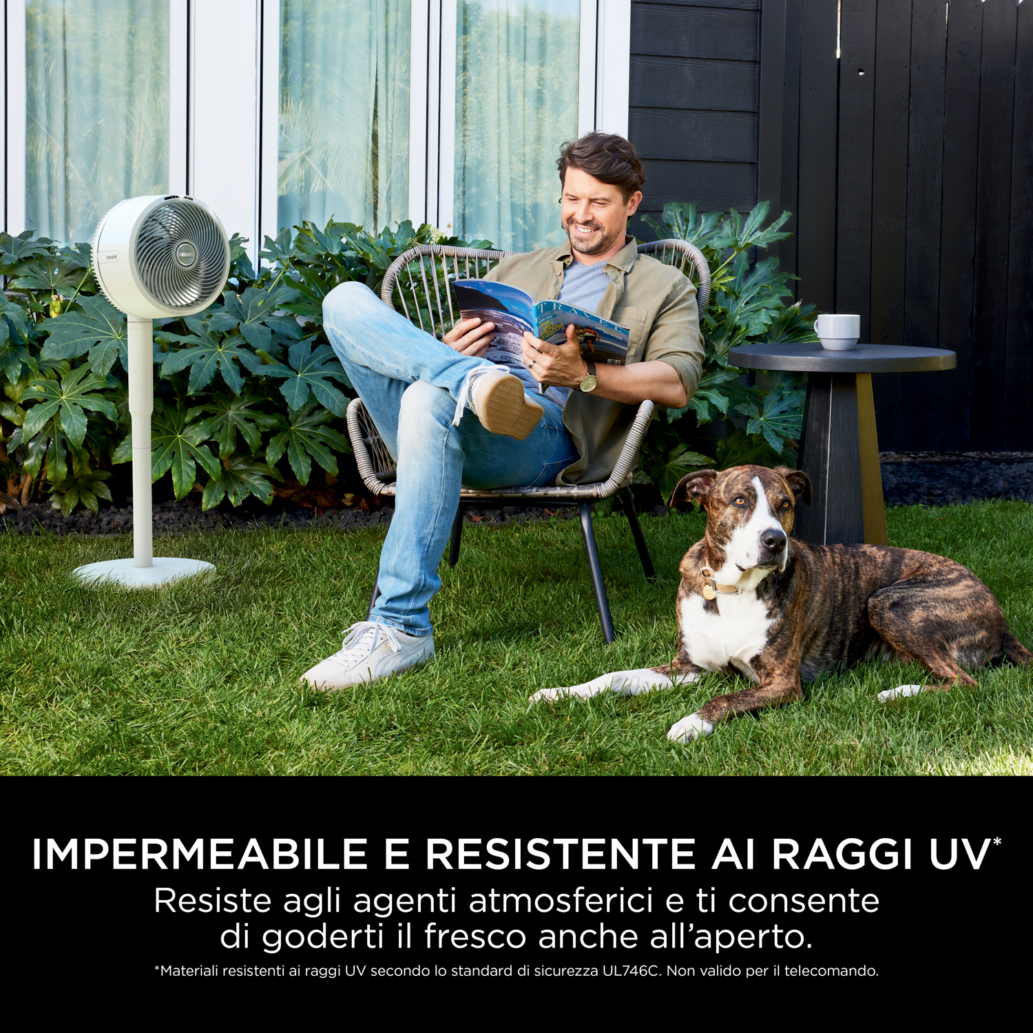 Uomo legge rivista su sedia, cane riposa vicino, ventilatore a sinistra. Erba verde e casa nera sullo sfondo.