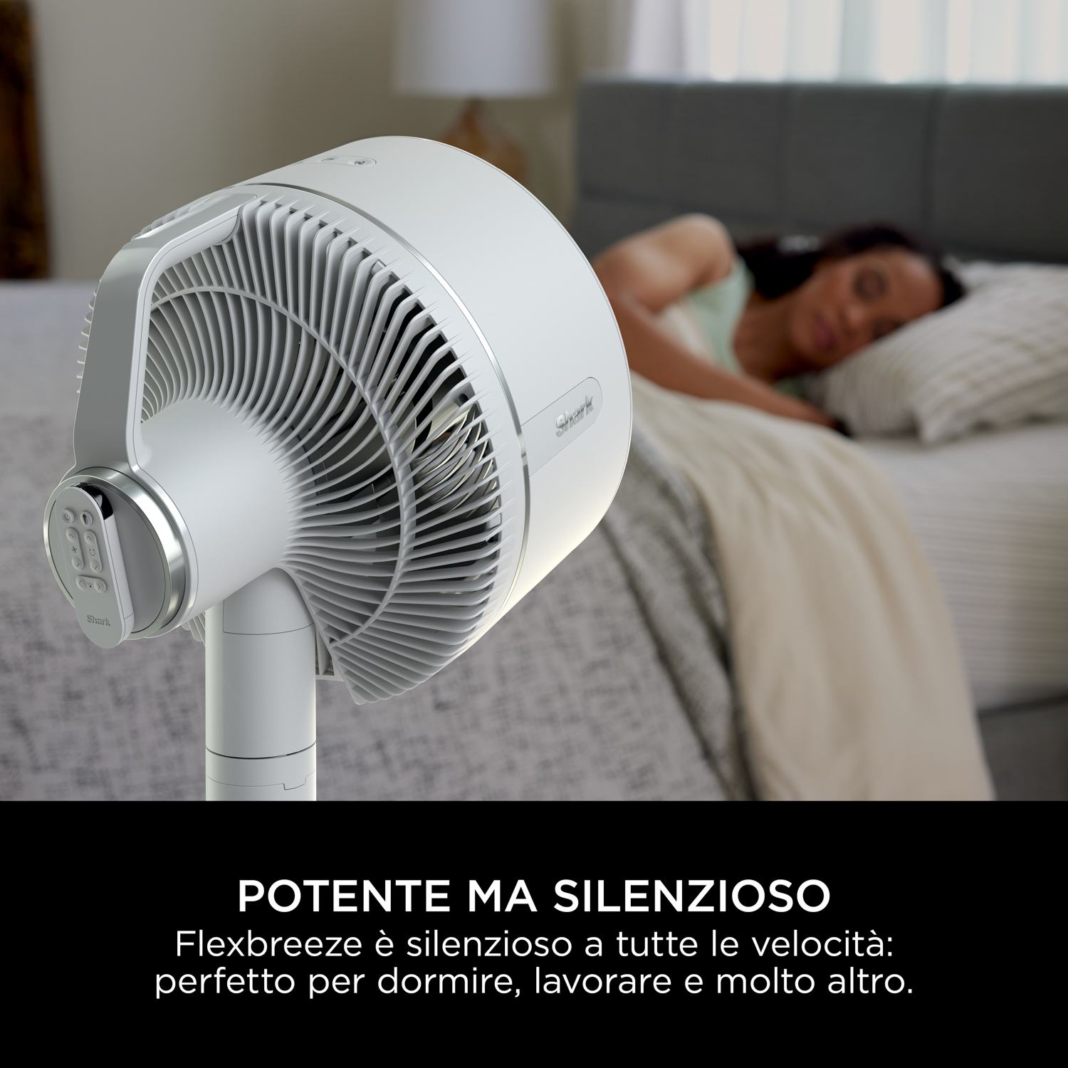 Custodia del CD, vista posteriore, con un'amaca e una palma.