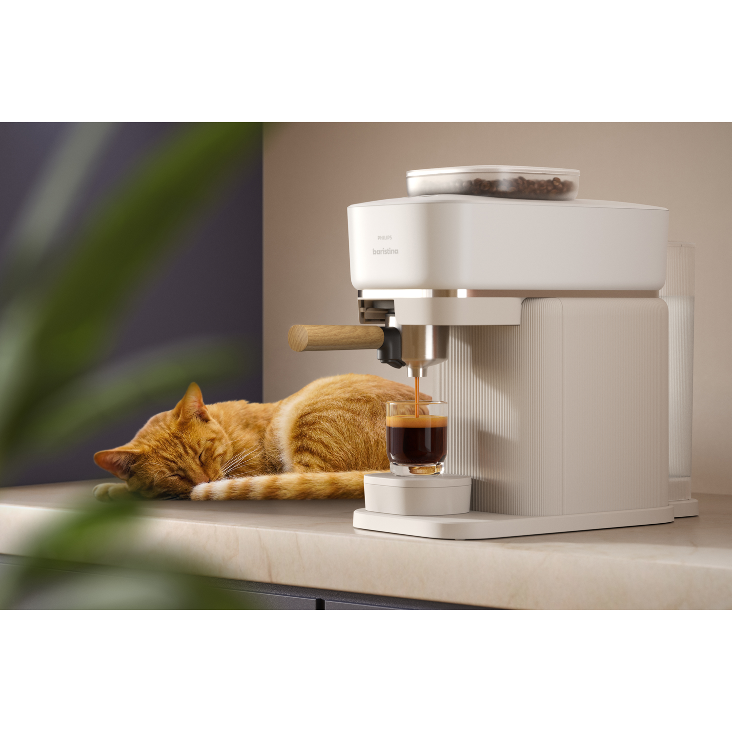 Koffiemachine met een kat in de buurt, koffie die in een glas wordt geschonken.