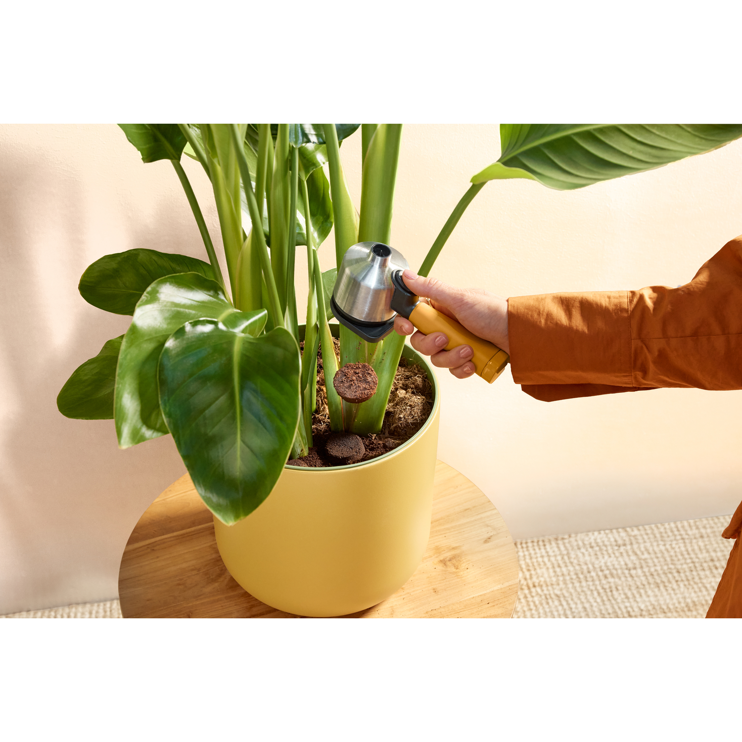 Een persoon die een apparaat gebruikt om een plant in een gele pot op een houten tafel water te geven.