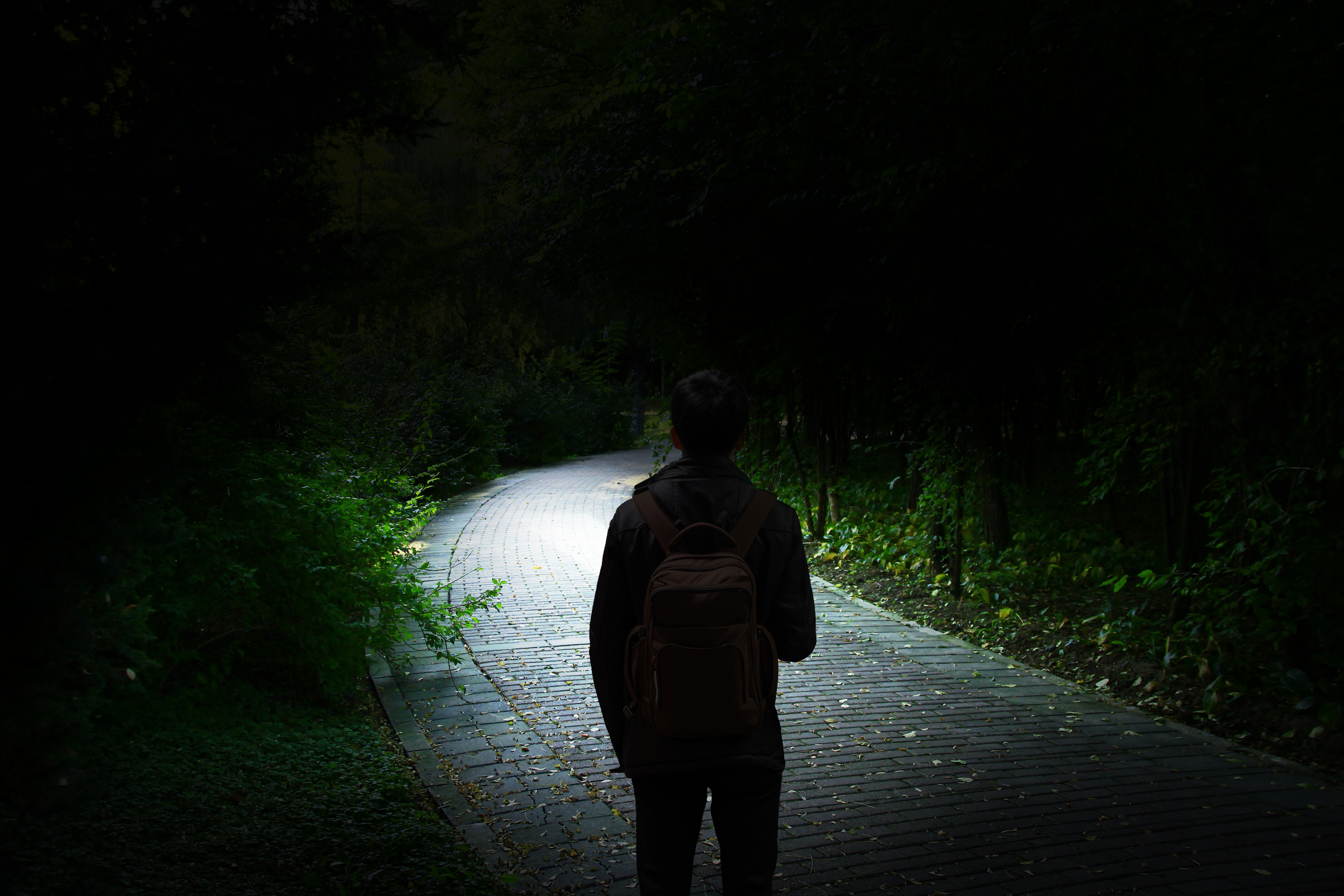 Una persona caminando por un sendero iluminado en un bosque oscuro, hacia la luz.