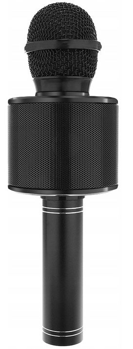 Czarny mikrofon. Góra to siatka, środek ma otwory, podstawa jest cylindryczna.