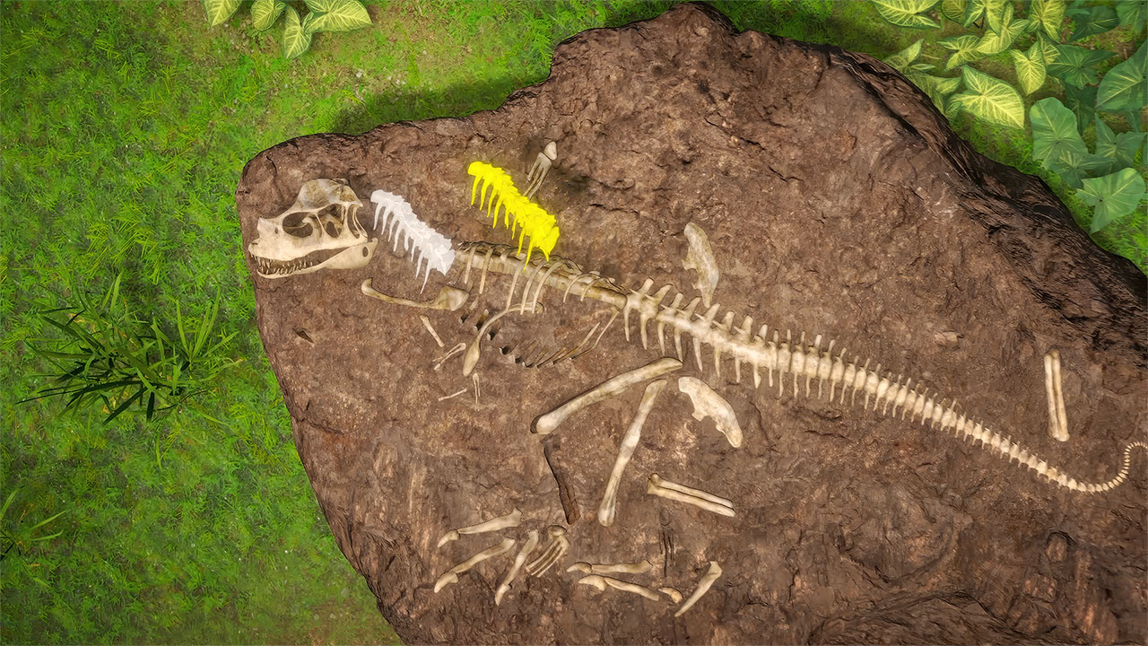 Dinosaurierskelett in braunem Gestein fossilisiert, einige Teile gelb hervorgehoben.