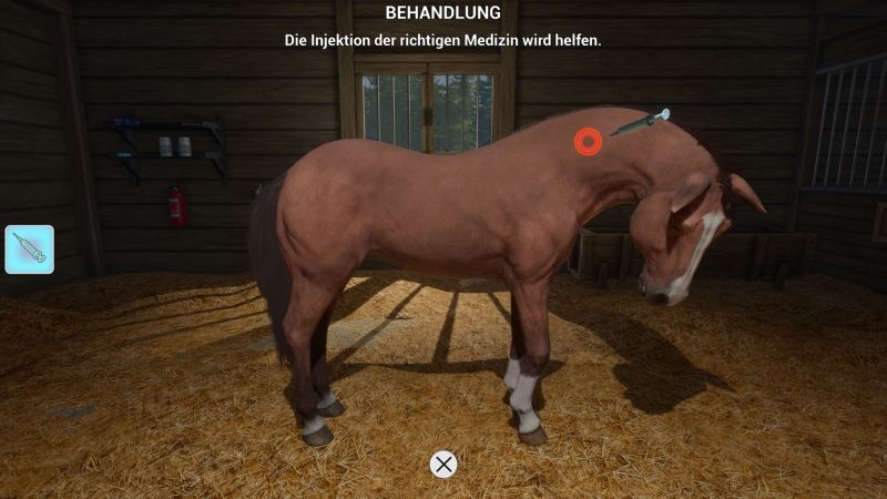 Ein braunes Pferd steht in einem Stall. Eine Spritze ist auf seinen Rücken gerichtet. Ein Text sagt: Die Injektion der richtigen Medizin wird helfen.