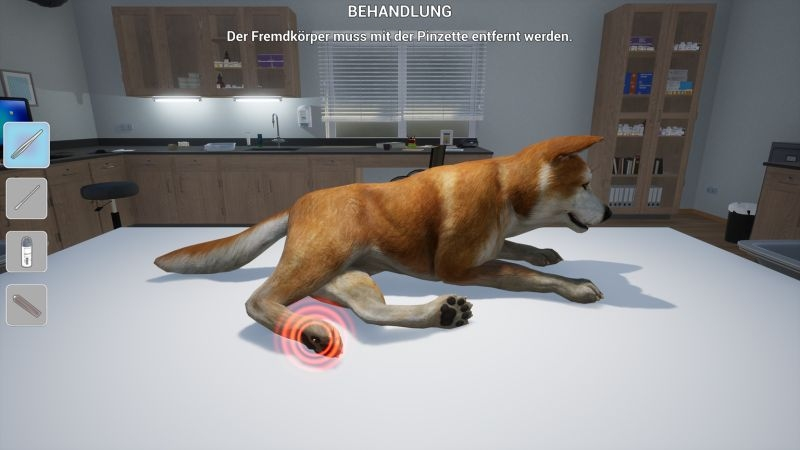 Ein Hund liegt auf einem Tisch in einer Tierarztpraxis. Ein roter Kreis markiert seine Pfote. Der Text sagt, Fremdkörperentfernung.