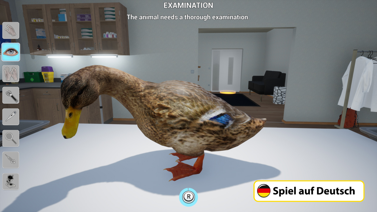Eine braune Ente mit gelbem Schnabel steht auf einem weißen Tisch in einer Tierarztpraxis, bereit für eine Untersuchung.
