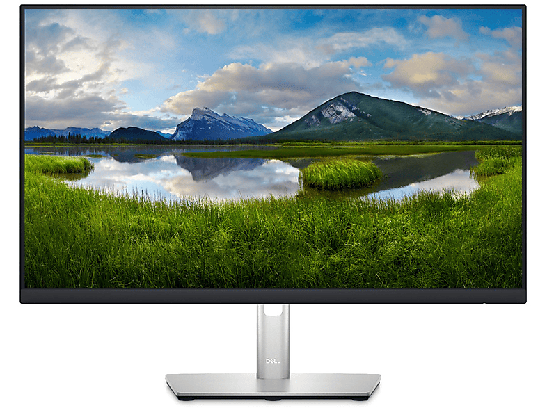 Dell P2423D Monitor, 23,8", Full-HD, 2560 x 1440 Pixel