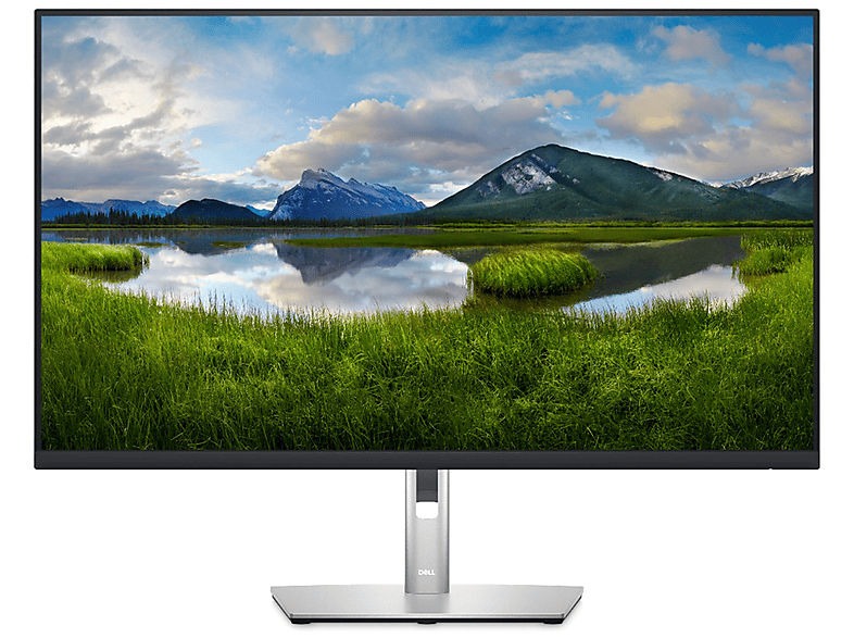 Dell P3223De Monitor, 31,5", Full-HD+, 2560 x 1440 Pixel