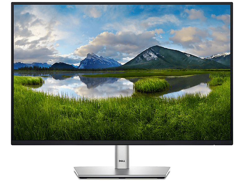 Dell P2425E Monitor, 24", Full-HD, 1920 x 1200 Pixel