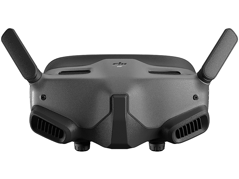 Accessori Droni DJI Goggles 2