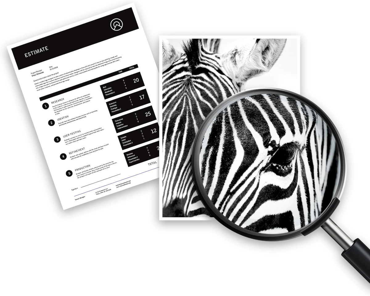 Dokument wyceny i zbliżenie oka zebry, pod lupą. Białe tło.