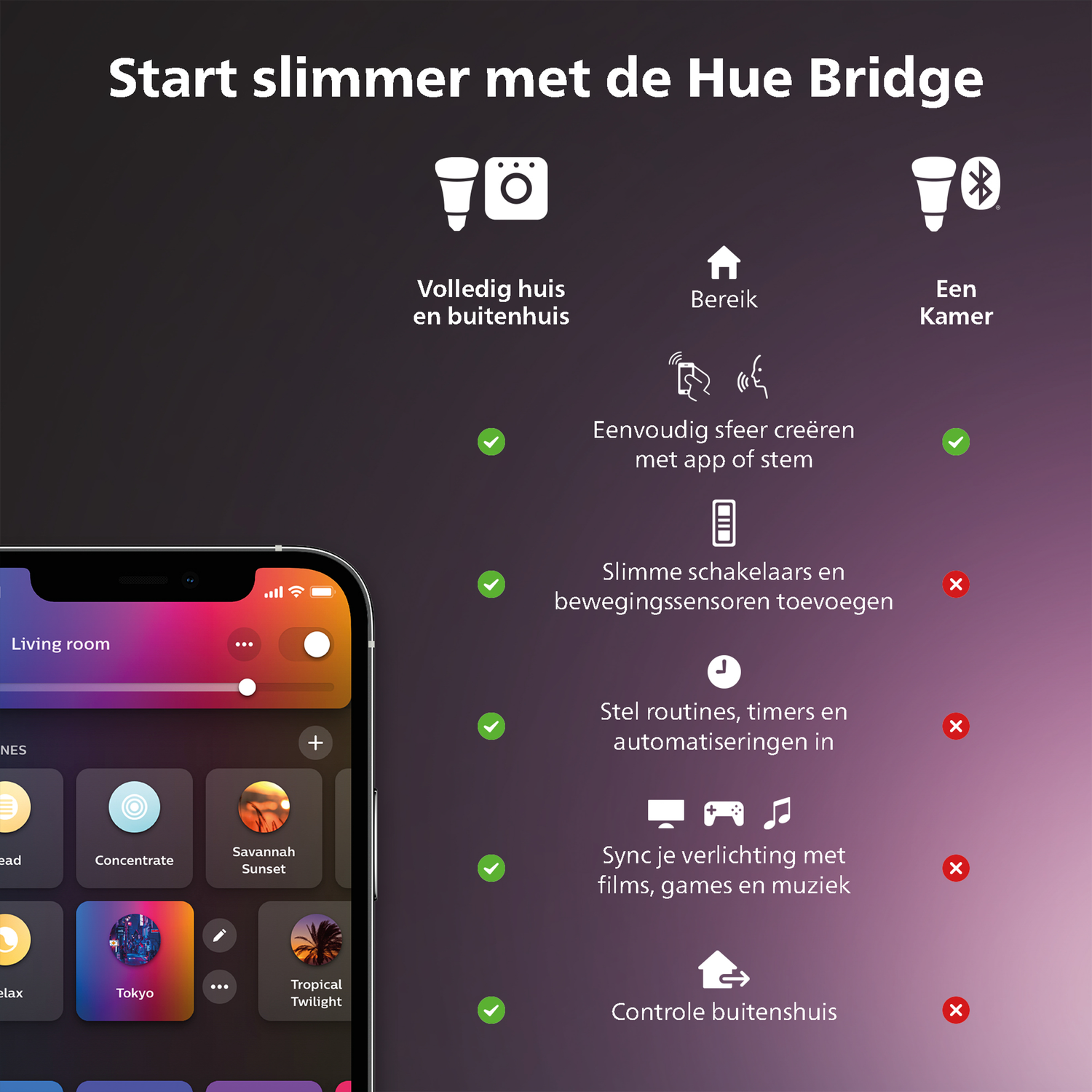 A phone shows an app to control smart home lights. Icons and text describe the features.