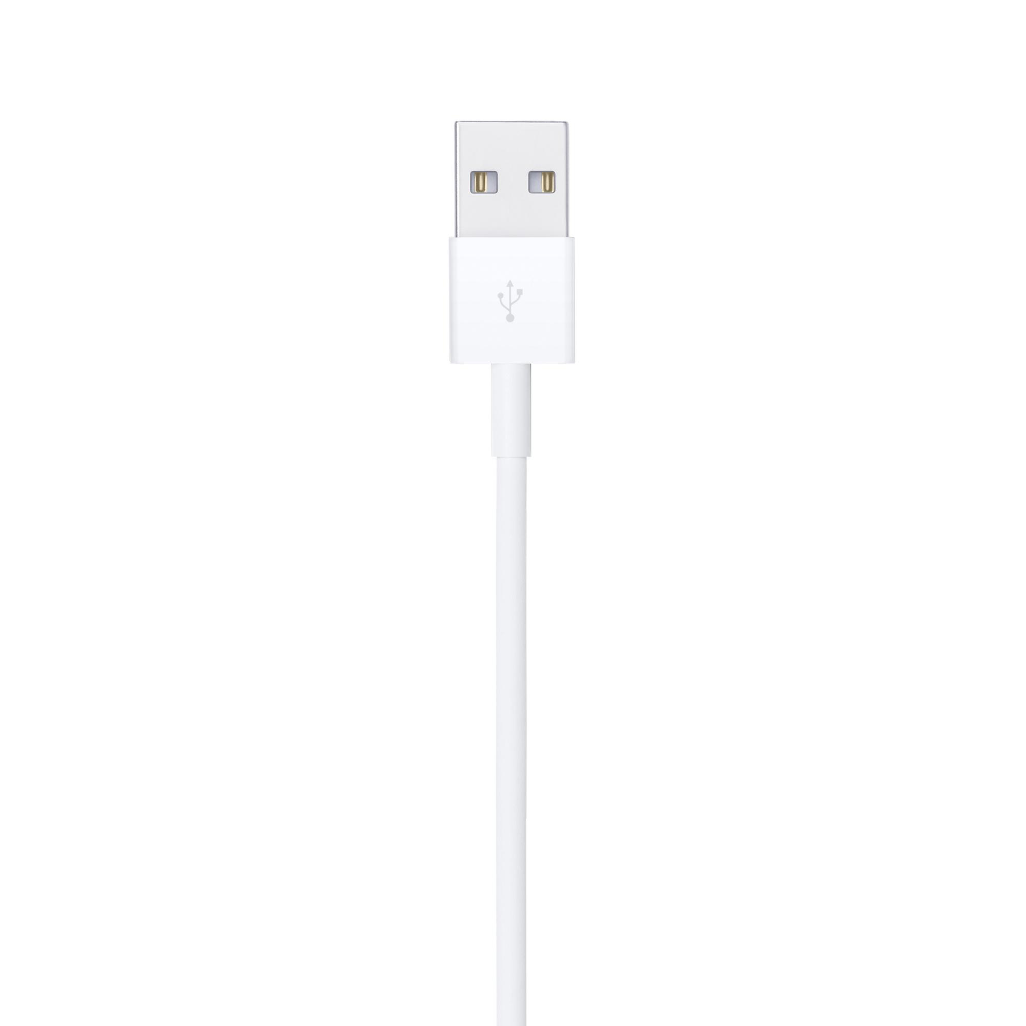Weißes USB-Kabel mit USB-Anschluss. Weißer Hintergrund.