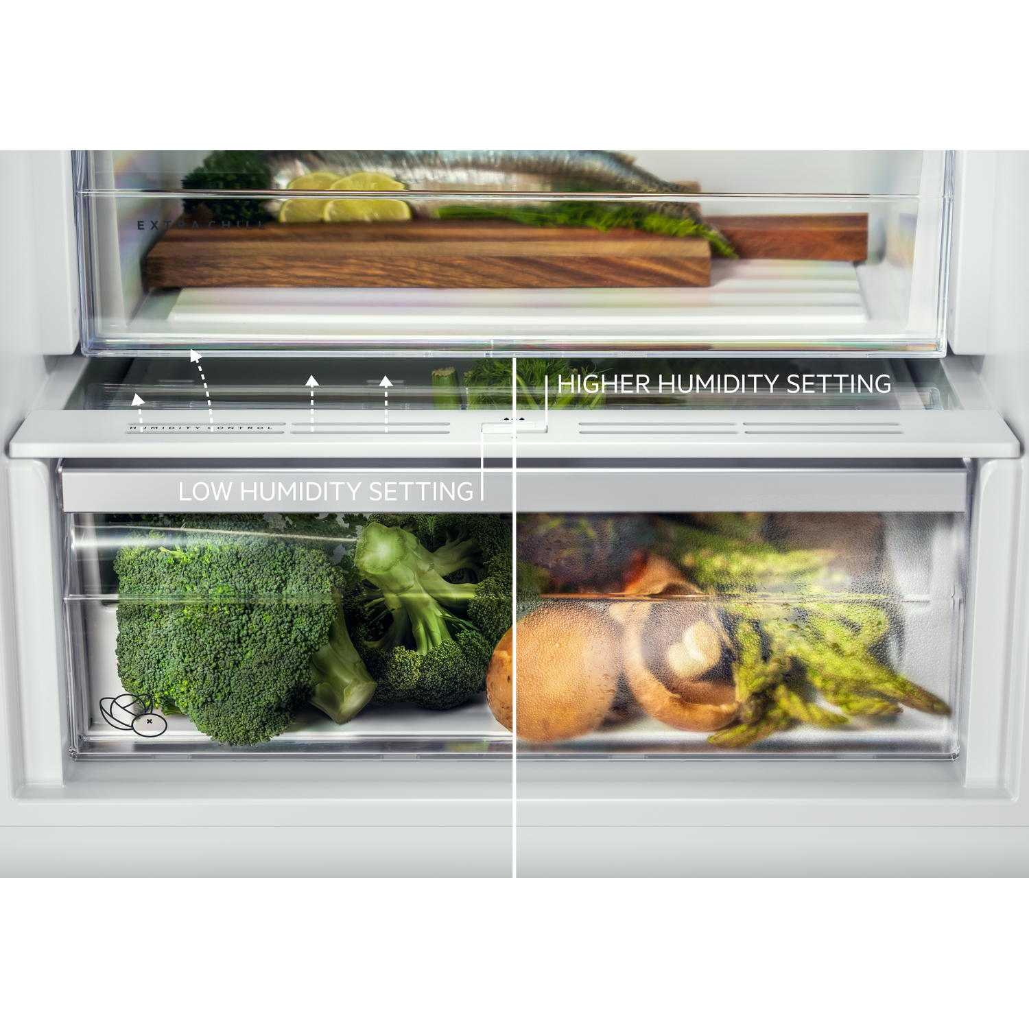 Inside a refrigerator, two drawers are shown. One side has broccoli and the other, mushrooms and asparagus.