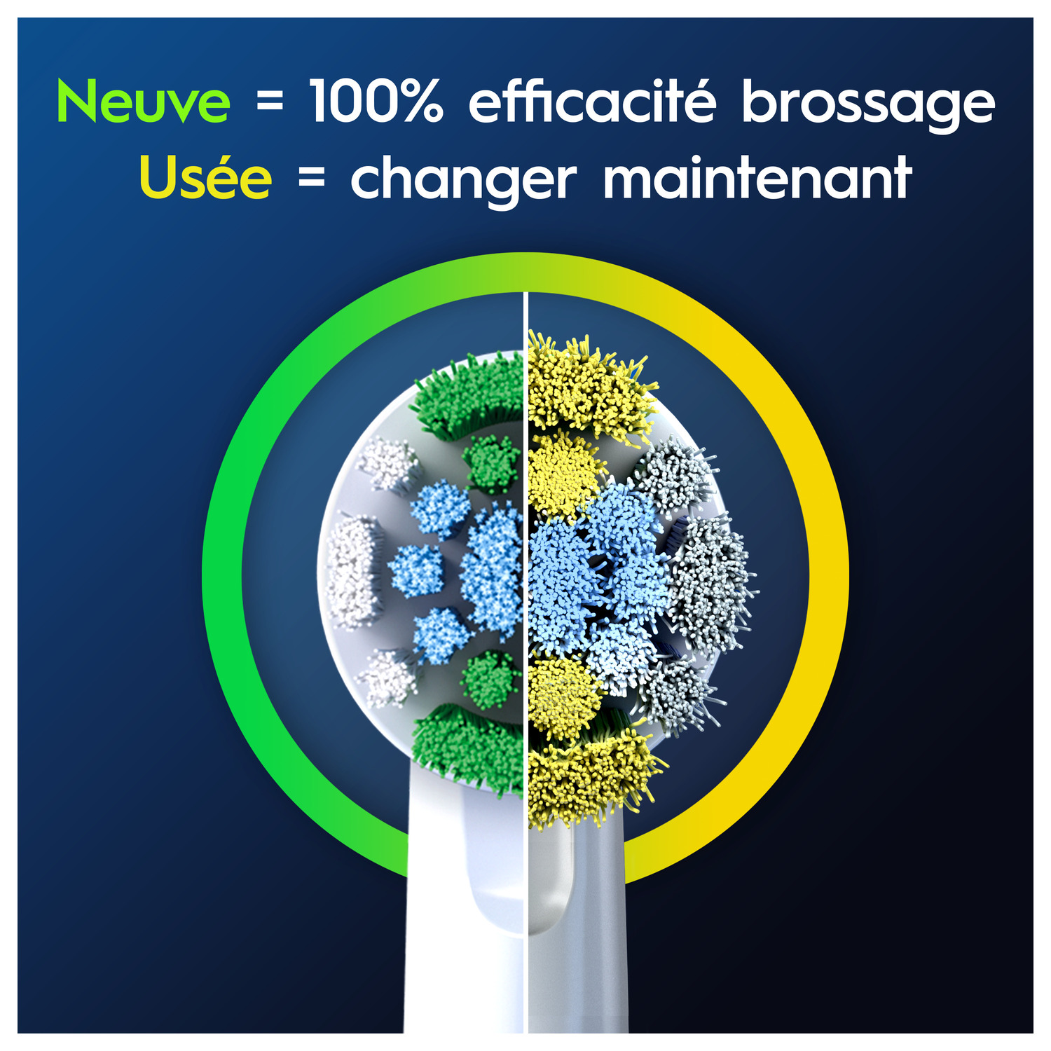 Une tête de brosse à dents montrant les soies neuves et usagées, marquées en vert et jaune.