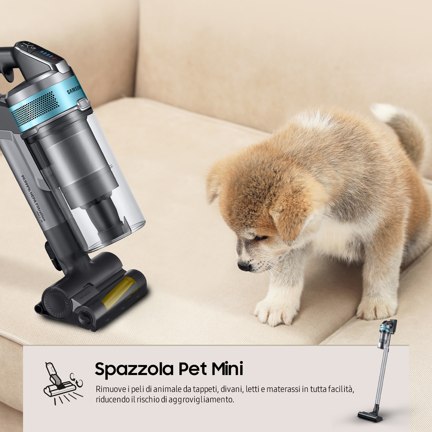 Un cucciolo guarda un aspirapolvere su un divano color crema. L'aspirapolvere è nero e blu.
