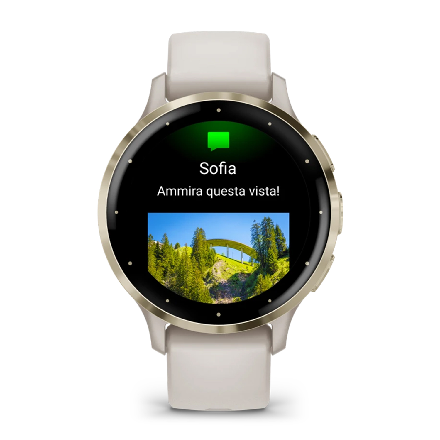 Smartwatch che mostra un messaggio e l'immagine di un ponte. Cinturino e cassa bianchi.