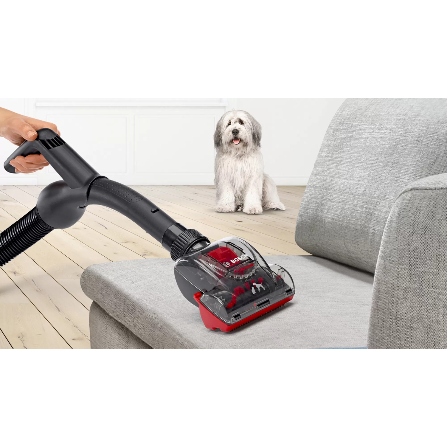 Een stofzuigerkop maakt een grijze bank schoon. Een hond staat op de achtergrond en kijkt naar de stofzuiger.