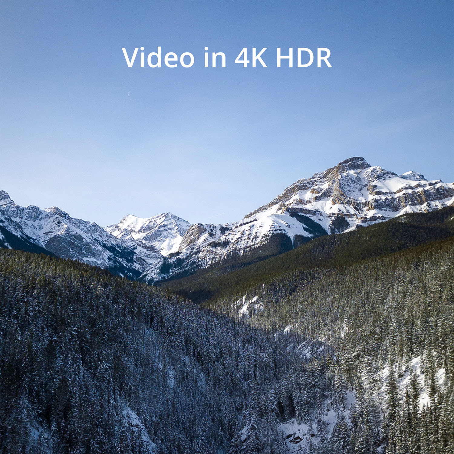 Paesaggio montano con vette innevate, alberi verdi e cielo azzurro.