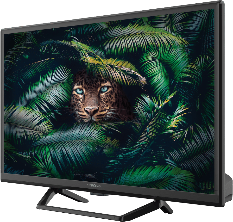 TV-Bildschirm, der das Gesicht eines Leoparden inmitten von grünem Laub in einer Dschungelumgebung zeigt.