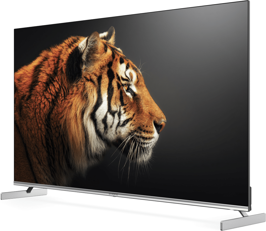 TV-Bildschirm mit einem Tigergesicht.