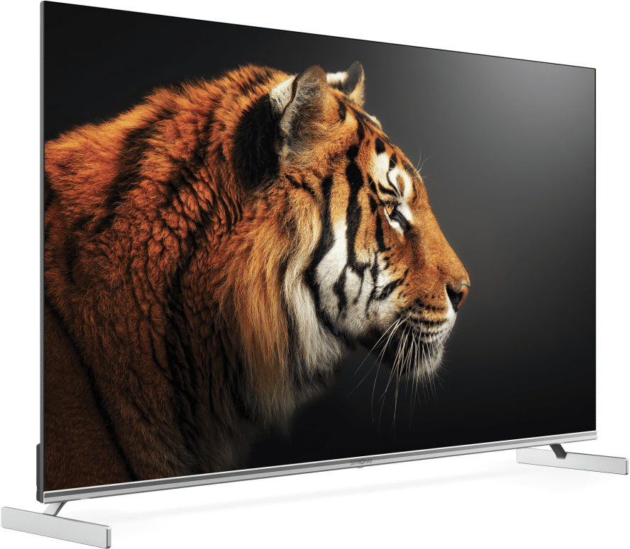 Großer Fernsehbildschirm, der das Gesicht eines Tigers vor dunklem Hintergrund zeigt.