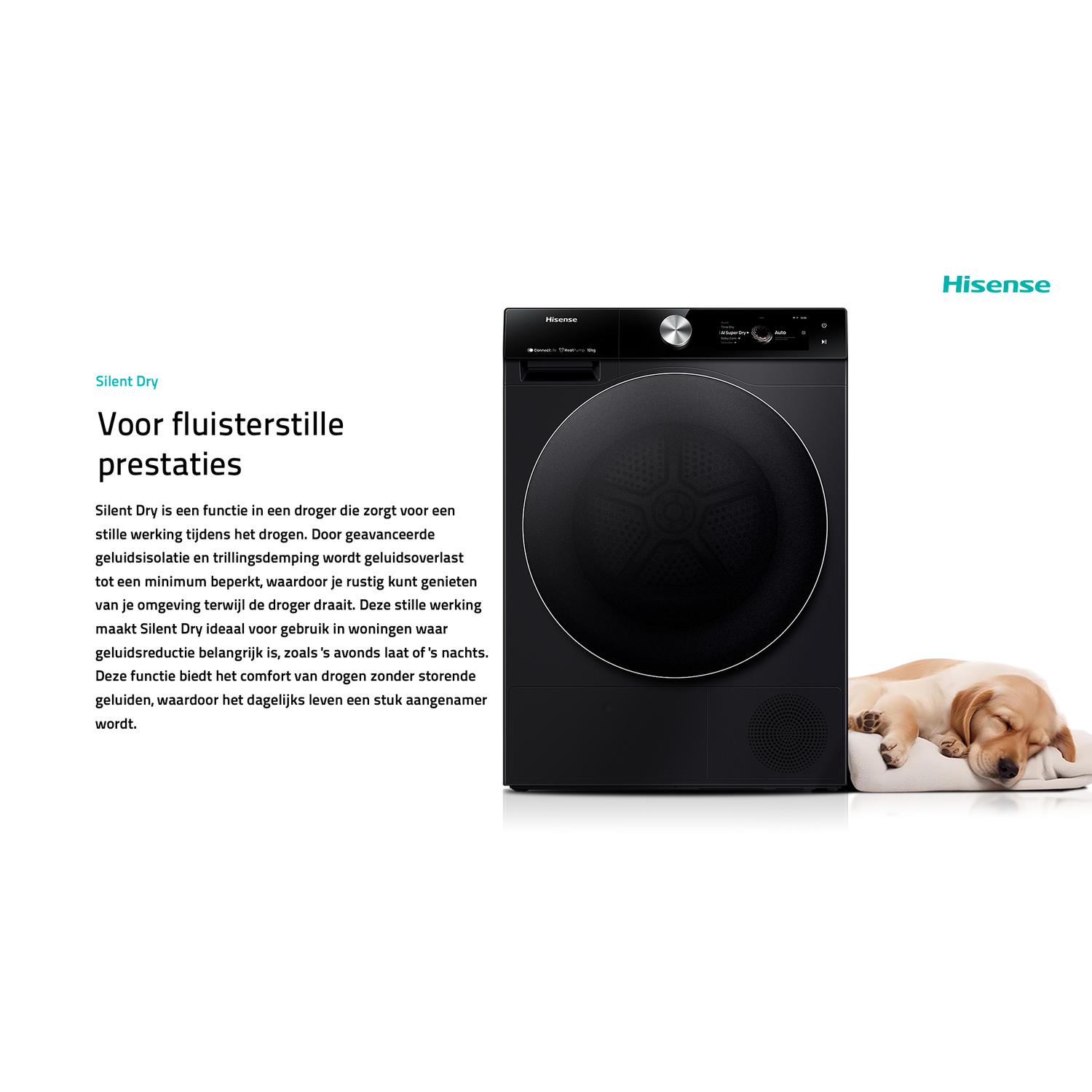 A black dryer with a closed door. A sleeping puppy is next to it on a white mat.