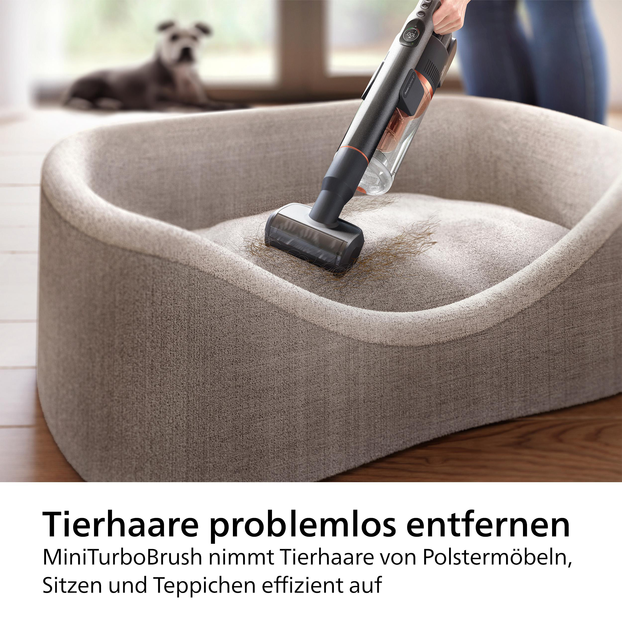 Staubsauger reinigt Tierbett, Text zum Entfernen von Tierhaaren.