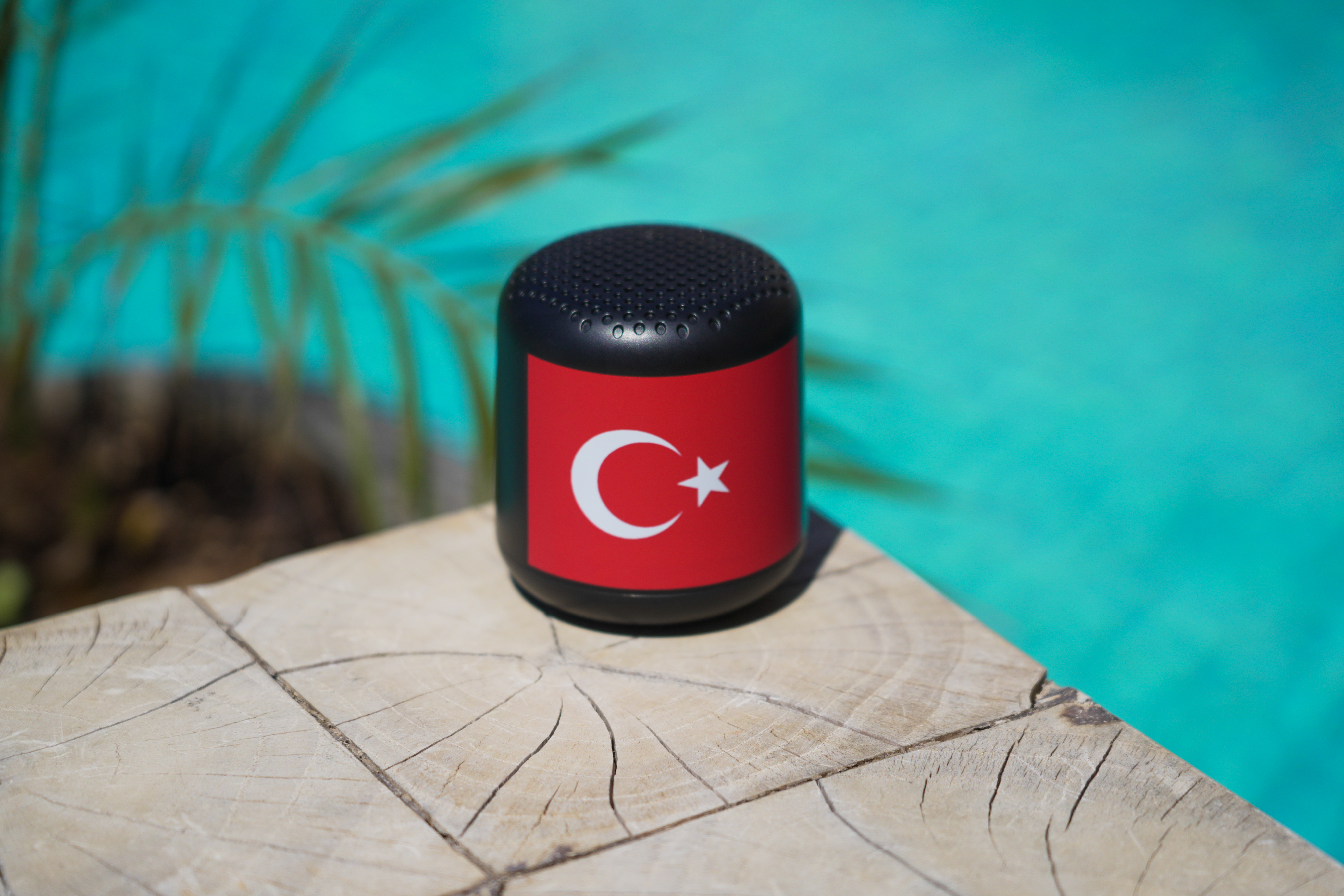 Ein kleiner schwarzer Lautsprecher mit türkischer Flagge steht auf einer Holzoberfläche.