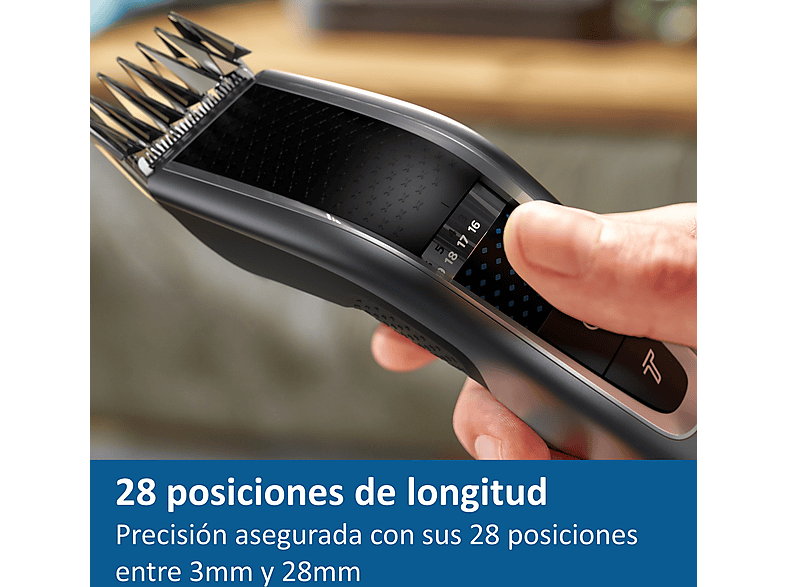 Vista 2