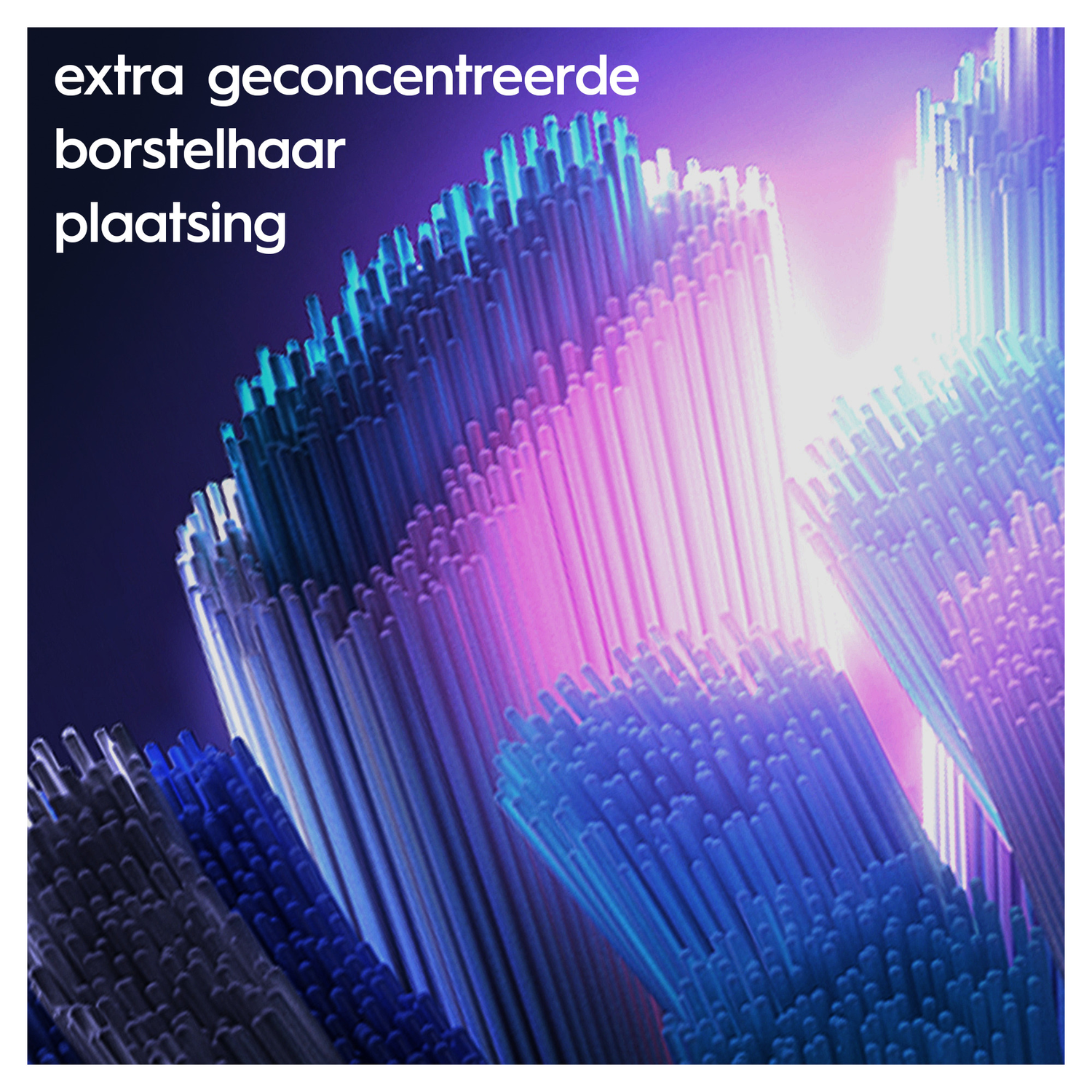 Close-up of toothbrush bristles, blue and white with a pink and purple background.