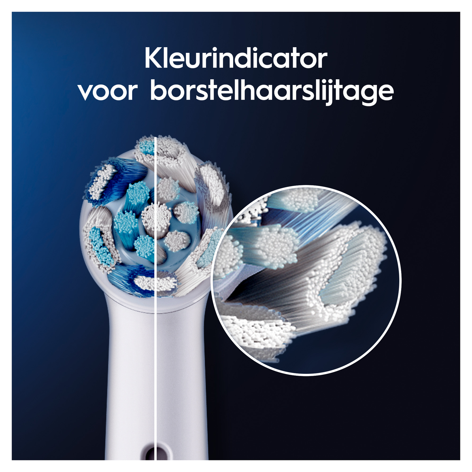 An oral-b brush head with the bristles being magnified.