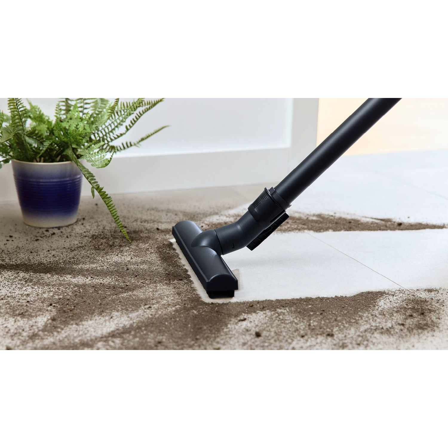 A vacuum cleaner head cleaning a light-colored floor with a plant on the left side.